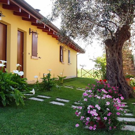 Agriturismo Tenuta Santa Maria Notaresco Exterior photo