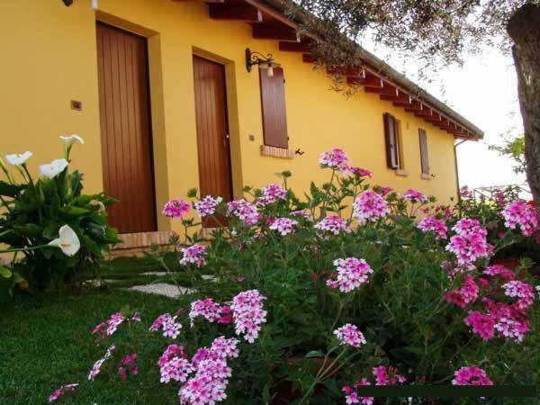 Agriturismo Tenuta Santa Maria Notaresco Exterior photo