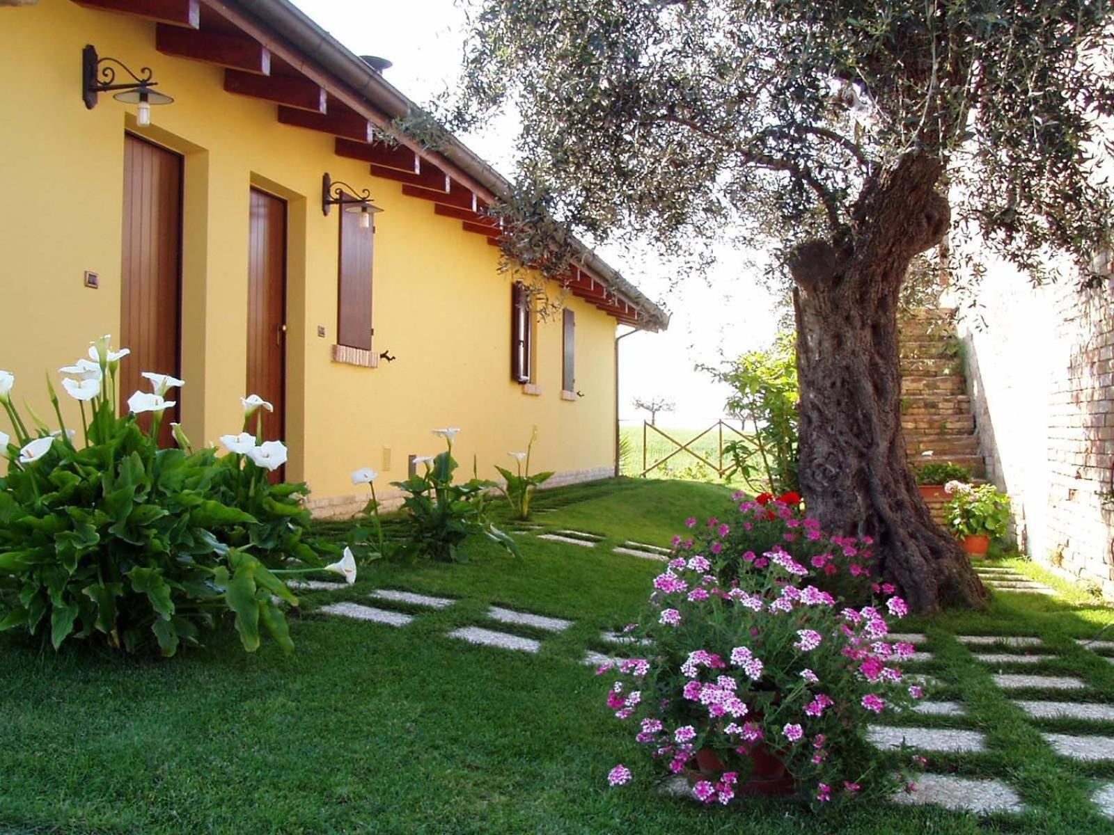 Agriturismo Tenuta Santa Maria Notaresco Exterior photo