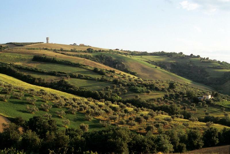 Agriturismo Tenuta Santa Maria Notaresco Exterior photo